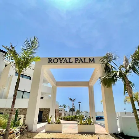 Royal Palm 12 *